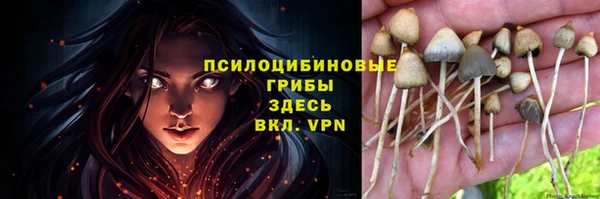 ECSTASY Магадан