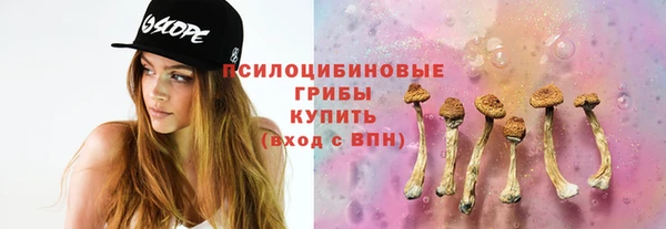 spice Алексин