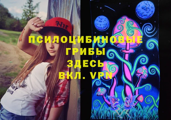 ешки Арсеньев