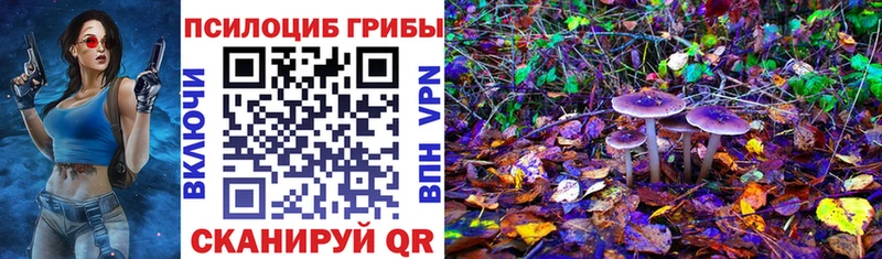 Галлюциногенные грибы Cubensis Новомичуринск